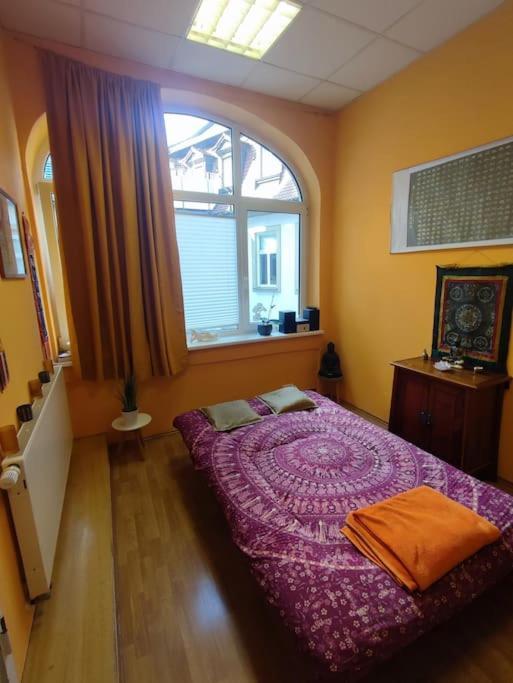 Apartment Einzigartige Studio-atmosphaere